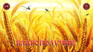 photo_2025-09-11_14-57-54